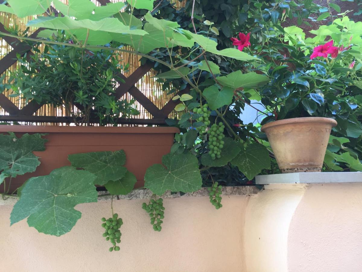 Testaccio Historic House Rome Bagian luar foto