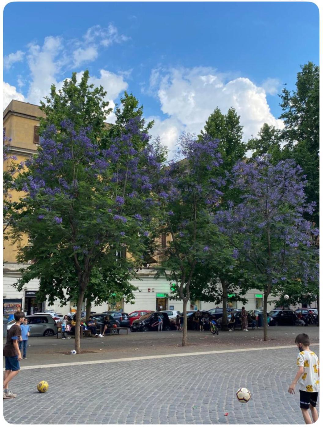 Testaccio Historic House Rome Bagian luar foto